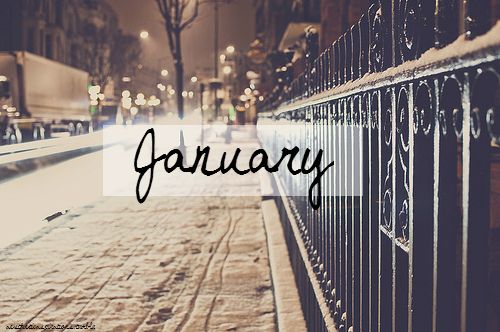 Mes favoris janvier 2015 !