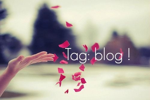 Tag : blog !