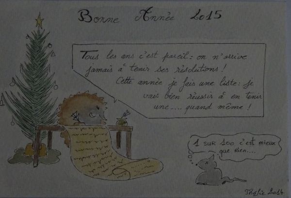 Voeux 2015