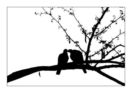 Le partage.