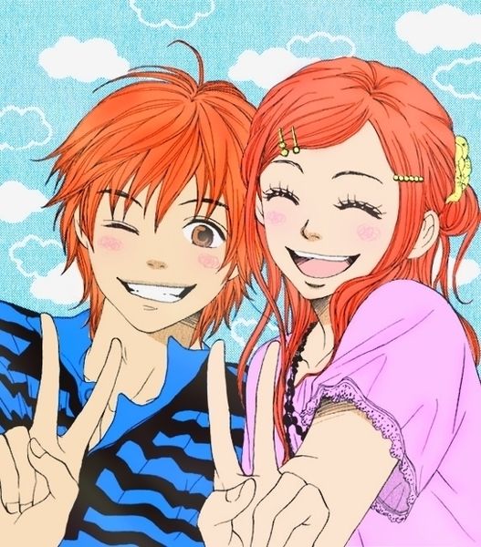 Suite manga pour animé arrêté: shojo