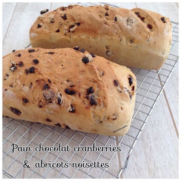 Pain chocolat cranberries et abricots noisettes