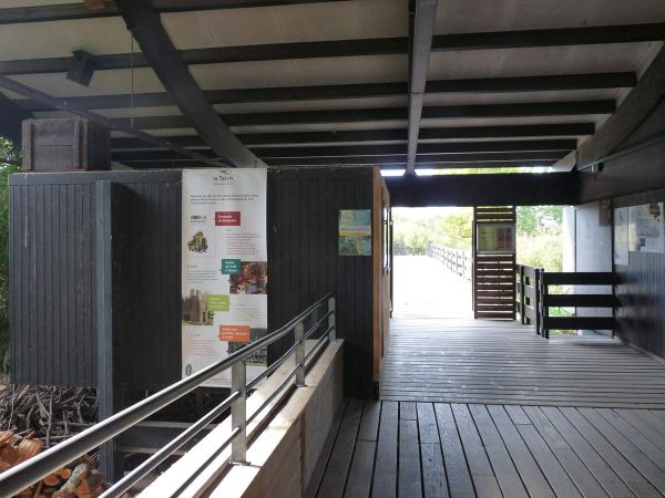 La Réserve ornithologique du Teich (Bassin d'Arcachon)