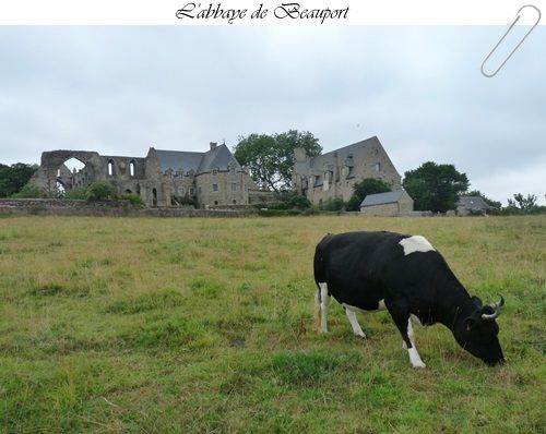 L'abbaye de Beauport ! (Côtes d'Armor)
