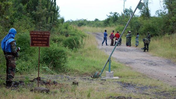 Le parc de Virunga