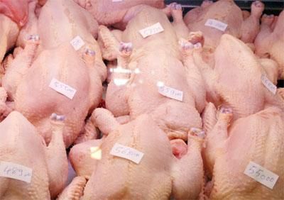 Des poulets congélés