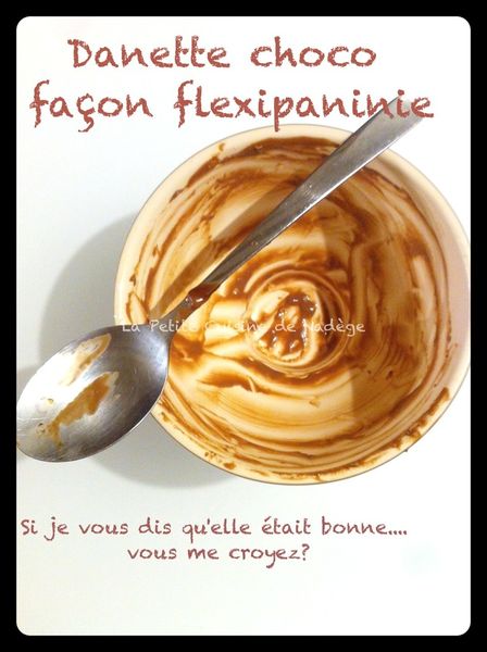 Crème Danette Chocolat façon Flexipaninie version presque individuelle