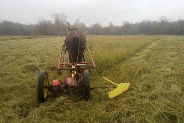 Dernière coupe à Grosbois.