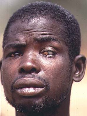 Extrait du livre "La lumiére des sens" de Boel Souleymane