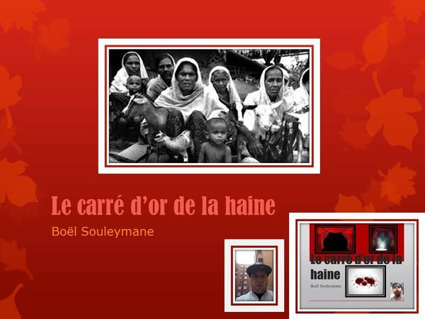 résumé du livre "le carré d'or de la haine" de Boel Souleymane sur le massacre des rohingyas