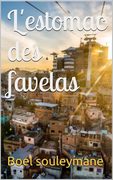 Résumé du livre: « L'estomac des favelas » de Boel Souleymane sortie début 2017