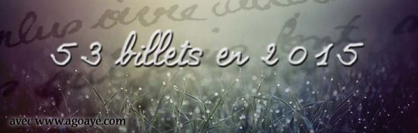 53 billets en 2015: Ceci est très amusant