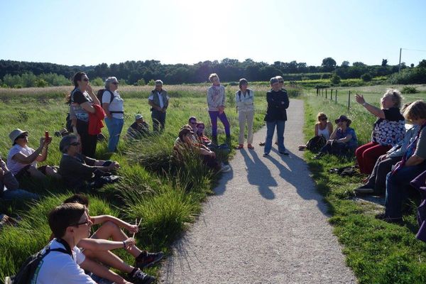 Randonnée contée Forêt de la Pérégrine et du ravin du Défend le 19 septembre en partenariat avec le Conseil Général - Découverte des Espaces Naturels Sensibles