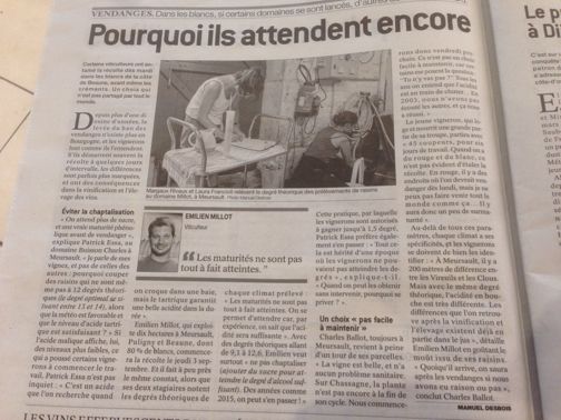 Pourquoi les Meursault de Buisson-Charles ne seront pas coupés avant le 7 Septembre