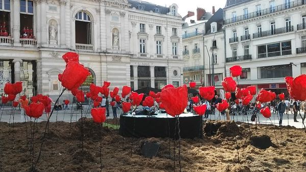 L'odyssée végétale des Accroche-Coeurs