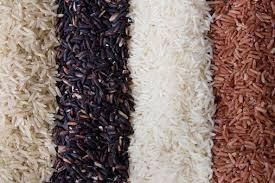 Les diffentes variétés de riz