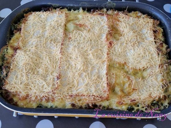 Lasagne épinards viande hachée
