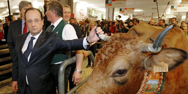 HOLLANDE : UN BON A RIEN ! PAROLE REALISTE DE PAYSAN FRANCAIS !