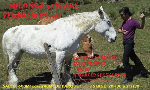 L 'homme qui murmure du tango à l'oreille des chevaux !