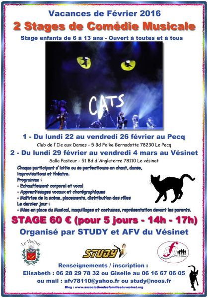 Une nouvelle comédie musicale pour février 2016 !