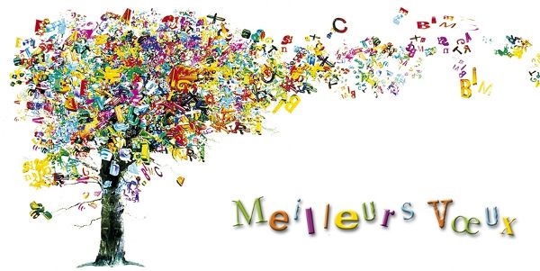 Voeux et perspectives 2016