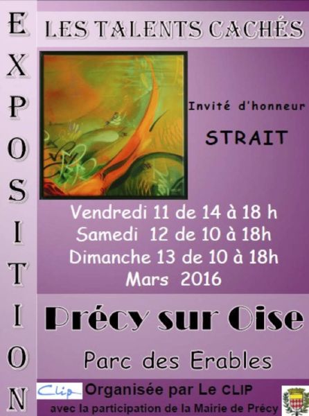 Précy-sur-Oise : des talents cachés se découvrent