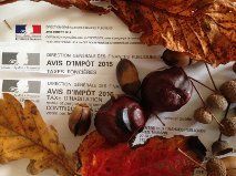 TAXES ET IMPÔTS COLLECTION AUTOMNE HIVER