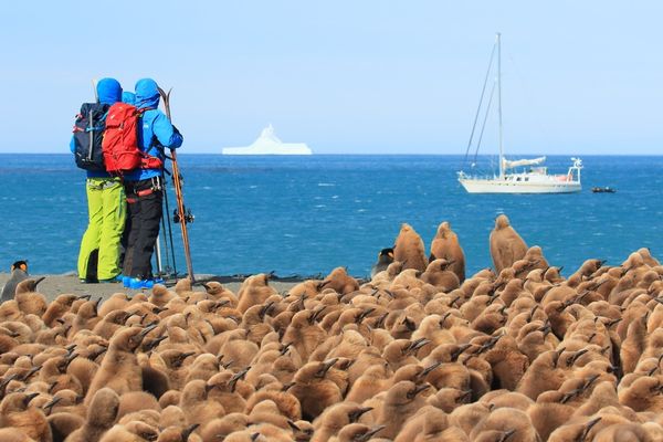 Bateau Stop - photo Philippe Poncin