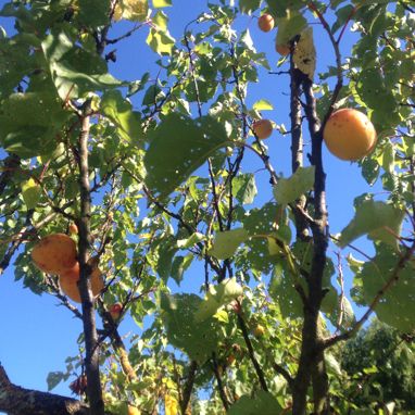Quelques grammes de gourmandise