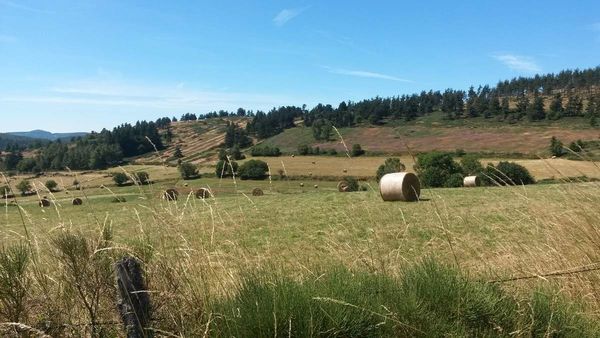 En Lozère lors d'une mémorable randonnée (19 kilomètres et un pique-nique que je n'oublierai pas de si tôt)