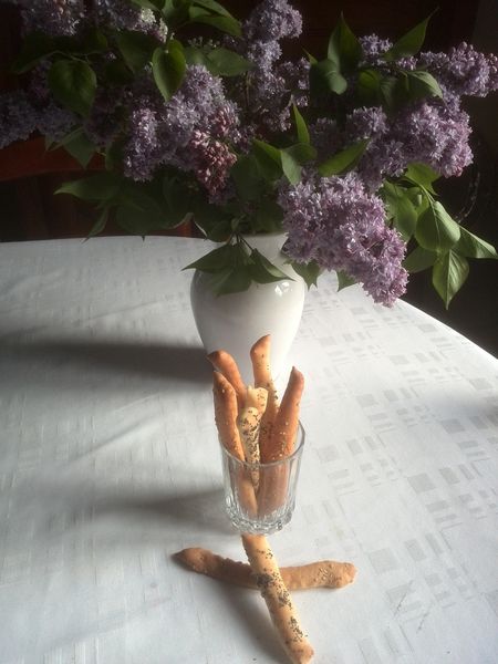 Gressins au thermomix