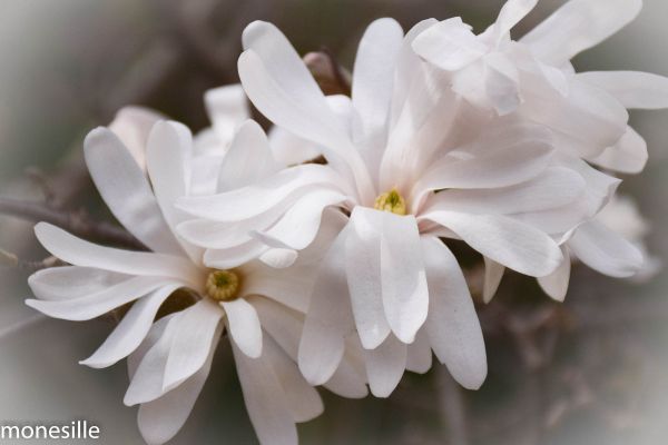 Printemps ou galère ?