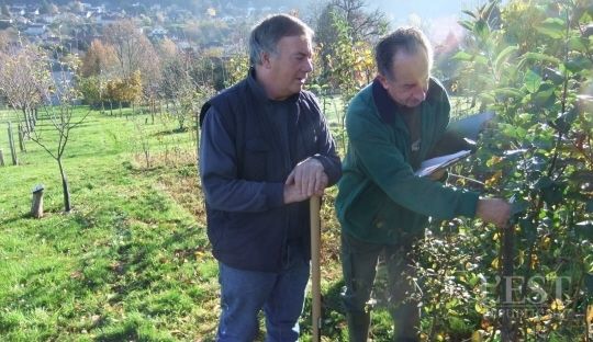 92 variétés au verger