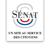 Avenir des Trains d'Equilibre du Territoire : en débat au Sénat