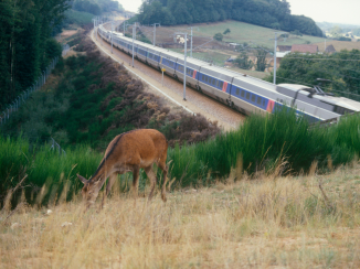 La ligne POLT: les incidents s'accumulent
