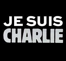 Attentats de janvier, un an après de nombreux documentaires en hommage.