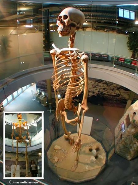 AQUI MOSTRAMOS UNA IMAGEN FOTOGRAFICA REAL,DE UN ESQUELETO QUE FUE FORMADO EN PARTE,POR PARTES DE UN GIGANTE REAL ENCONTRADO EN ECUADOR.el olvidado gigante de 7 metros de ecuador se exhibe en El Mystery Park,Suiza
