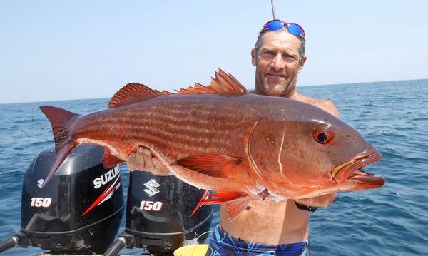 Peche exotique au Panama (archipel las perlas)
