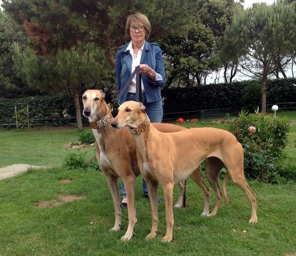 Lewis et Milla dans leur beau collier martingale léopard