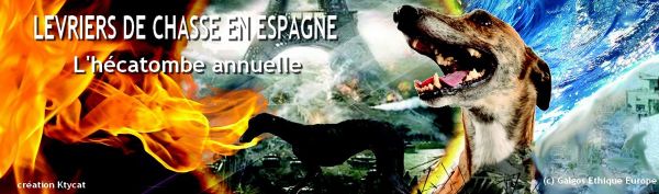 NOUVEAU BLOG GALGOS ETHIQUE EUROPE