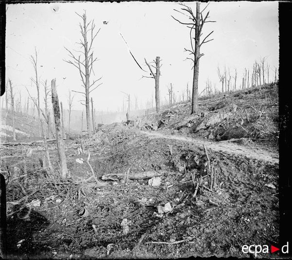 Les Isséens tués à Verdun 2/2.