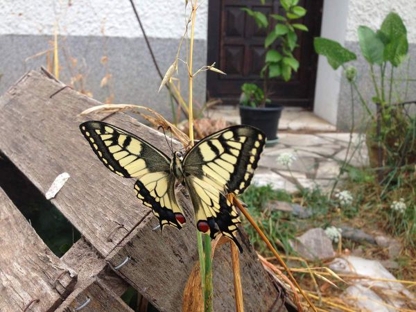 Rencontre inattendue
