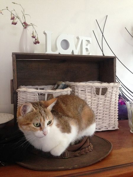 Love Boo