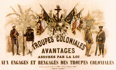Les campagnes d'un marsouin.
