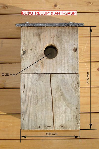 Nichoir à oiseaux sans blesser l'arbre