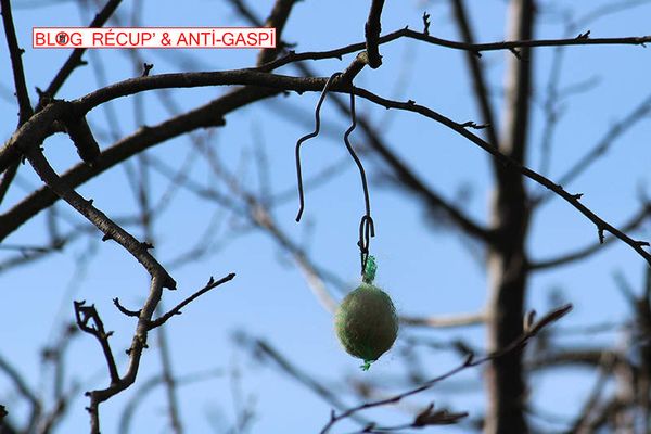 Boules de poils de chien pour nids