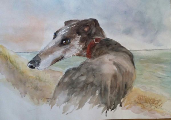 LIBERTE OCEANE, Claire BAUZET, aquarelle offerte à GALGOS ETHIQUE EUROPE Novembre 2015