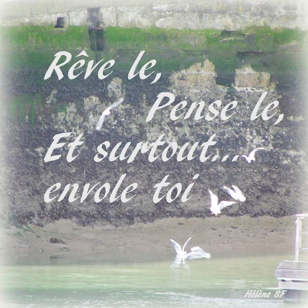 Carte gratuite à imprimer envole toi