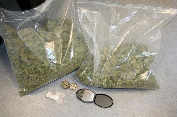 Hauts de Seine : 1,5 tonne de cannabis saisie à Rueil Malmaison
