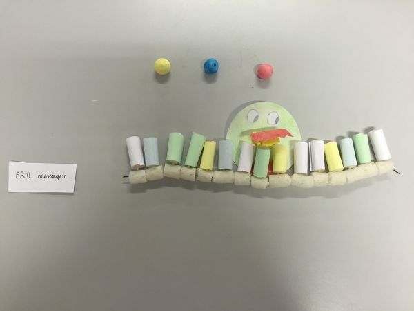 La synthèse des protéines